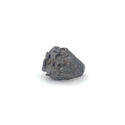 ring R-87